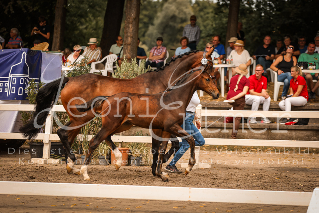 SaPA00208 | Leoni Ertmer Photography - Realisiert mit Pictrs.com