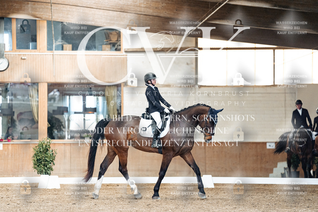 CK901225 | Turnierfotografie Pferdefotografie Trier Rheinland-Pfalz Pferdesport Reitsport Tierfotografie Sportfotografie Pferdevideo Pferdevideografie Equestrianvideography equestrianphotography  - Realisiert mit Pictrs.com