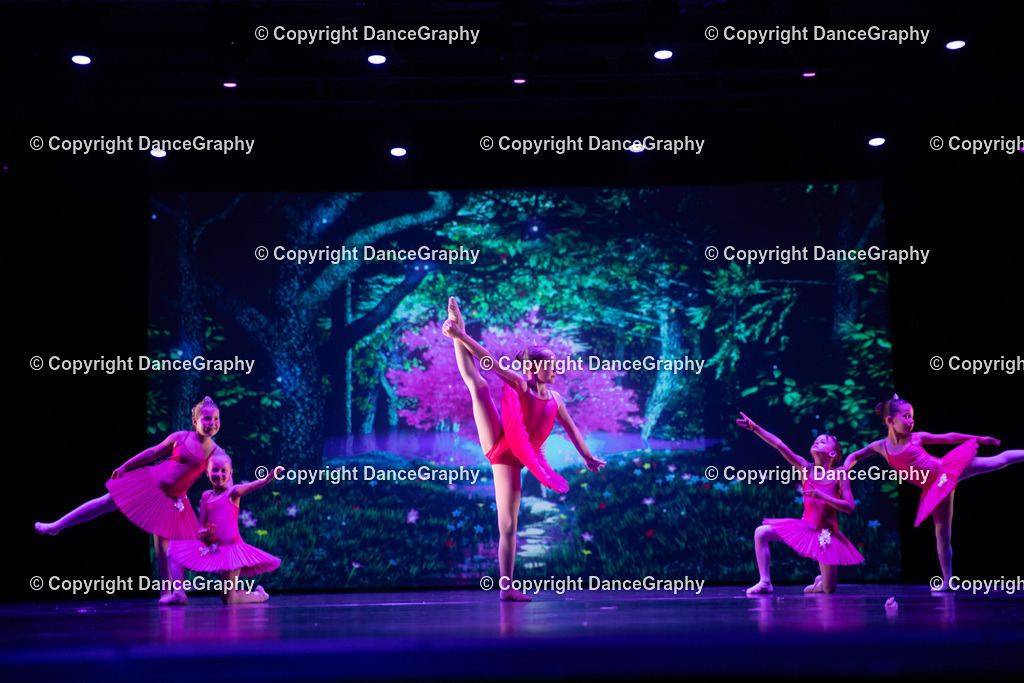 GPHY5028 | DanceGraphy - Realisiert mit Pictrs.com