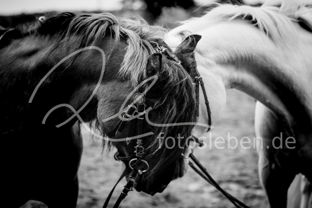 846A0442 | fotosleben - Realized with Pictrs.com