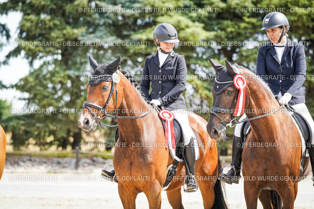 DSC02271 | Pferdegrafie