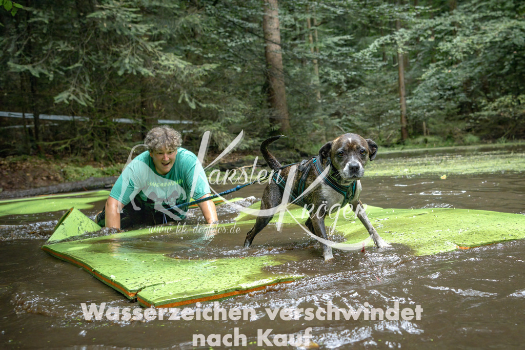 1515_ZZ90008-Bearbeitet | kk-dogfotos