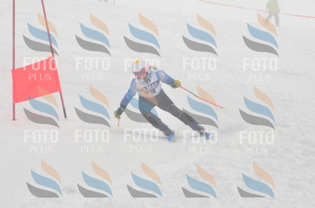 A5596 | holidayphoto