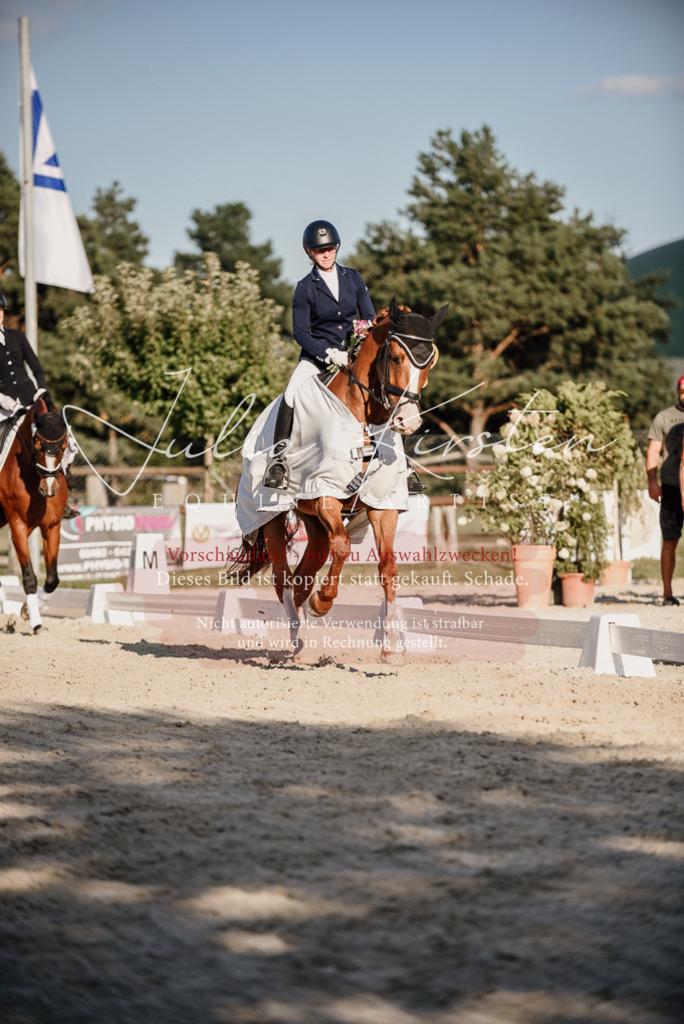 DSC_0738 | Pferde- und Turnierfotografie in Westsachsen. Pferdeportraits, Auftragszeichnungen und intuitive Kunst.
