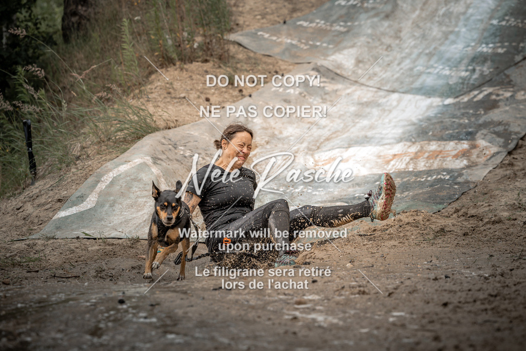 nelerasche_sa1430-1500_202 | nelerasche