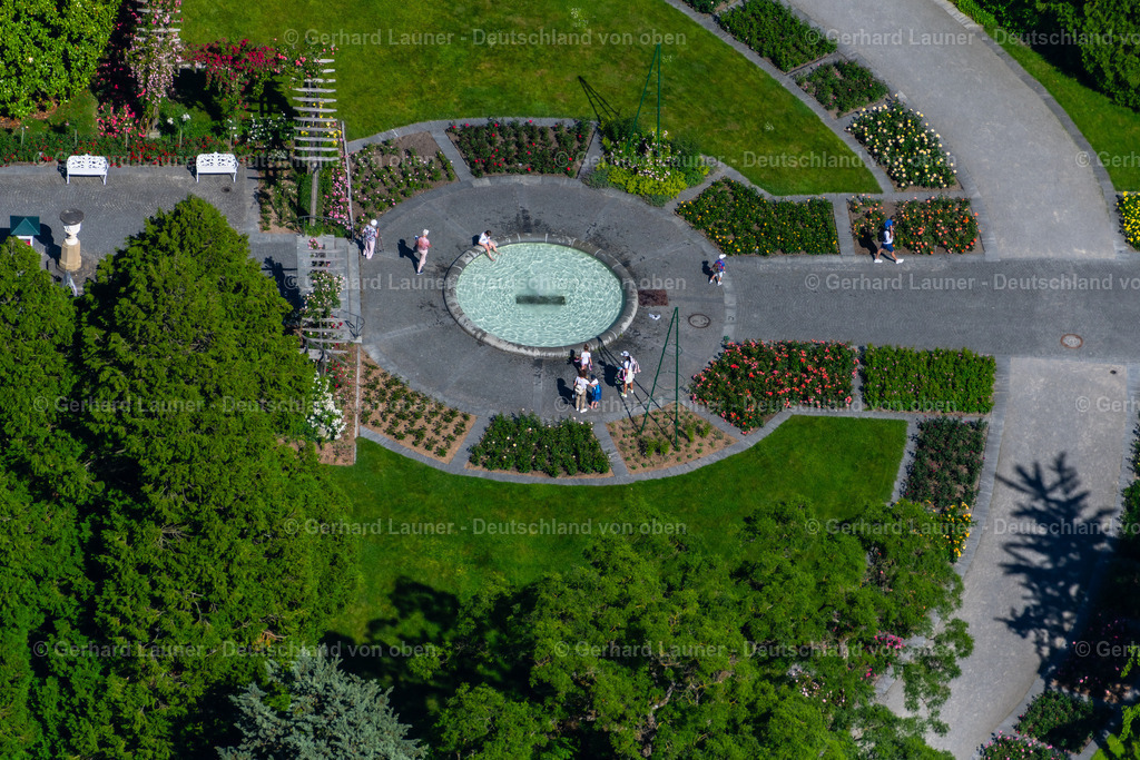 4032028 | Rosengarten, Insel Mainau