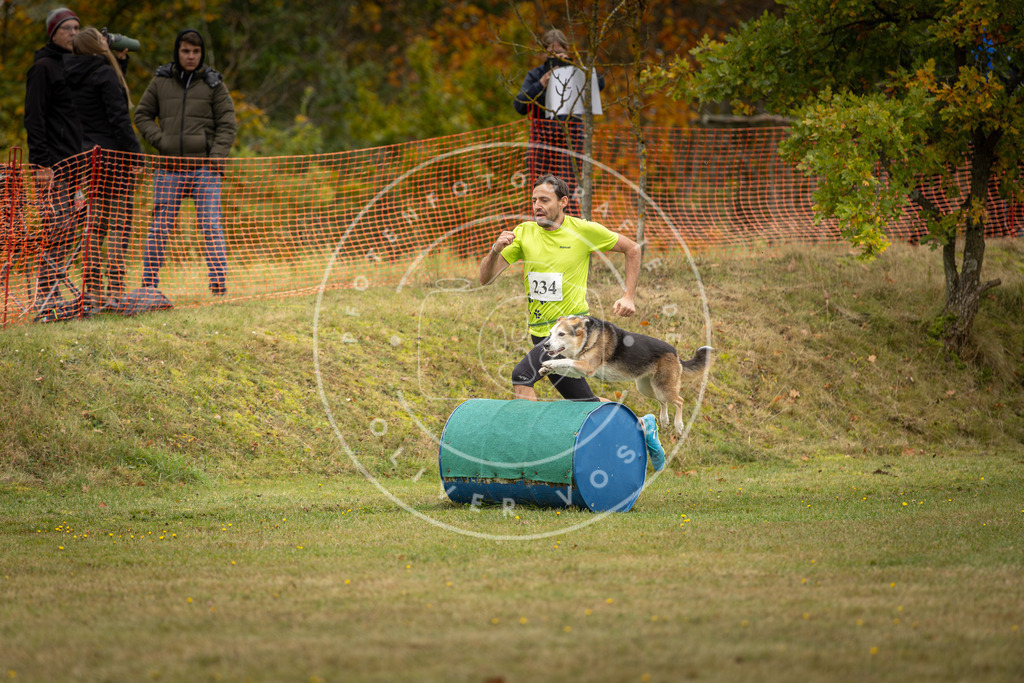 Pfotenfotografie_DV3A5660 | Hundefotografie, Tierfotograf, Pfotenfotografie, Fotoshooting Hund, Hunde Portrait, Hundesport, Hundeportraits, Heideshooting, Hunde, Sportfotograf, Hundefotograf, Turnierhundsport, THS,  - Realisiert mit Pictrs.com