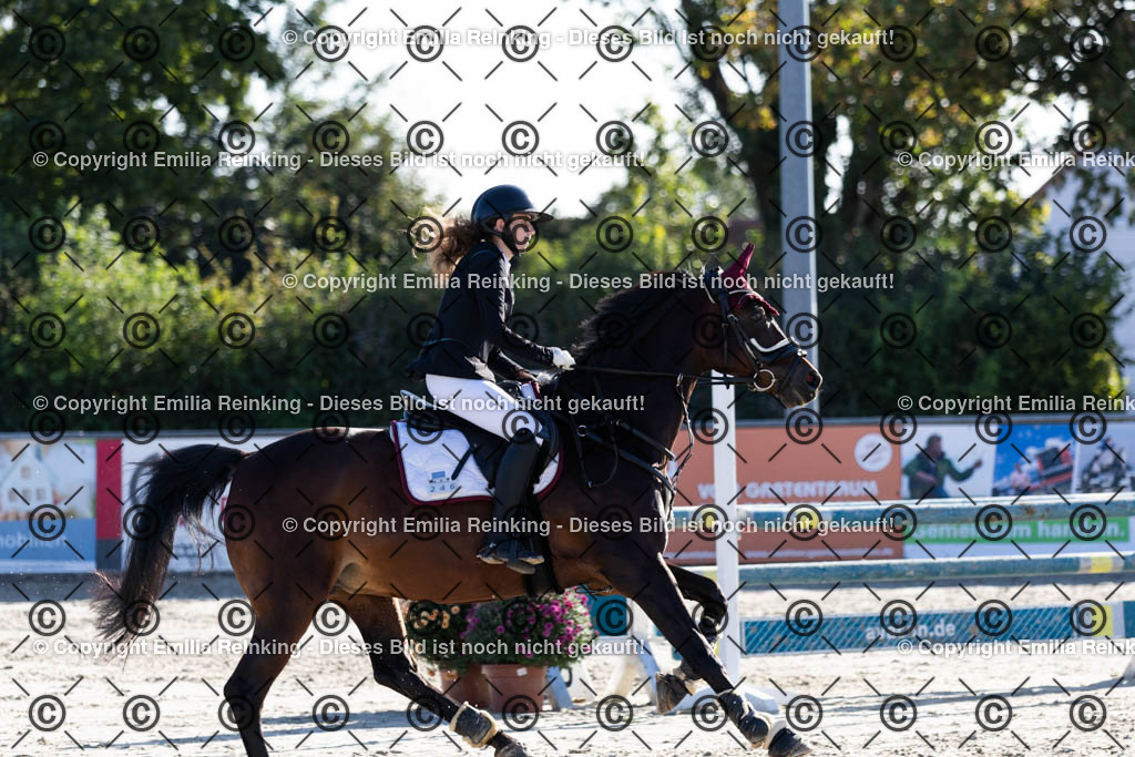 CL5A1193 | Emilia Reinking Fotografie - Realisiert mit Pictrs.com