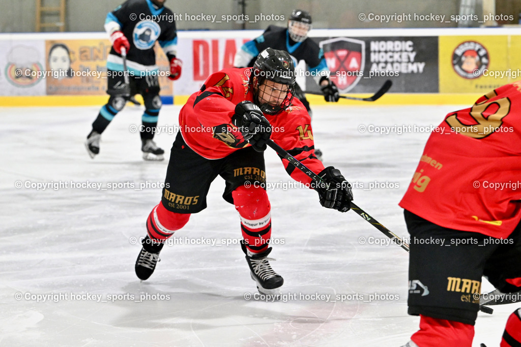 Lendhafen Seelöwen vs. Spartans Althofen | #14 Wenzl Alexander Spartans Althofen, Lendhafen Seelöwen vs. Spartans Althofen, Lendhafen Seelöwen vs. Spartans Althofen am 14.02.2025 in Ferlach (HTC Eishalle Ferlach), Austria, (Photo by Bernd Stefan)