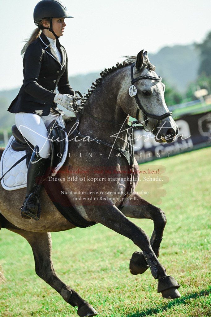 DSC_4465 | Pferde- und Turnierfotografie in Westsachsen. Pferdeportraits, Auftragszeichnungen und intuitive Kunst.