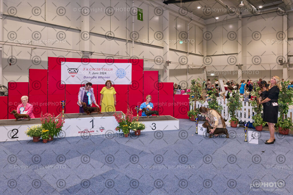 202406_ÖKV-IHA-Tulln24_NZ9_7844 | proPHOTO - Realisiert mit Pictrs.com