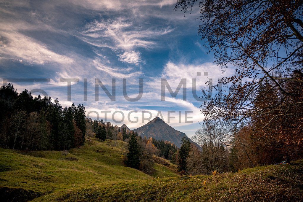 DSC_8373 | Tinu Müller Fotografie- Bildershop - Realisiert mit Pictrs.com