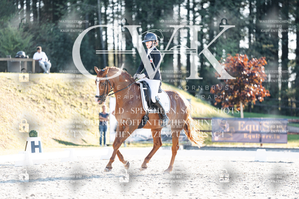 CK906998 | Turnierfotografie Pferdefotografie Trier Rheinland-Pfalz Pferdesport Reitsport Tierfotografie Sportfotografie Pferdevideo Pferdevideografie Equestrianvideography equestrianphotography  - Realisiert mit Pictrs.com