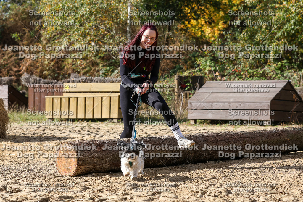 Dog Paparazzi - Strongdog 10-25-5679 | Dog Paparazzi Jeanette Grottendiek Fotografie & Videografie - Realisiert mit Pictrs.com