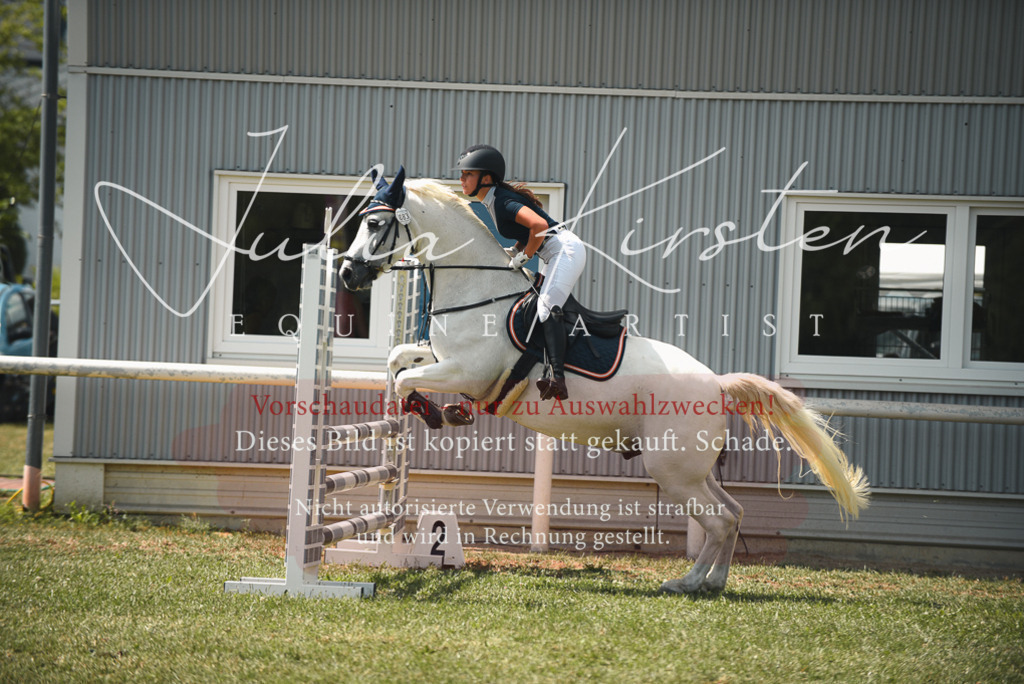 DSC_6741 | Pferde- und Turnierfotografie in Westsachsen. Pferdeportraits, Auftragszeichnungen und intuitive Kunst.