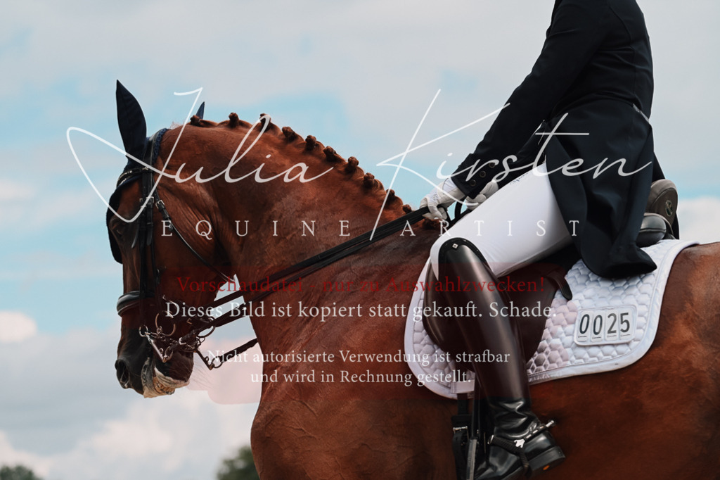 DSC_4236 | Pferde- und Turnierfotografie in Westsachsen. Pferdeportraits, Auftragszeichnungen und intuitive Kunst.