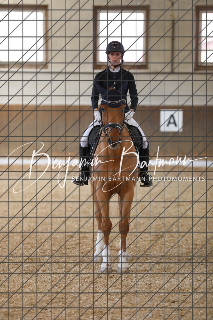 AZ2A8331 | Benjamin Bartmann Photomoments