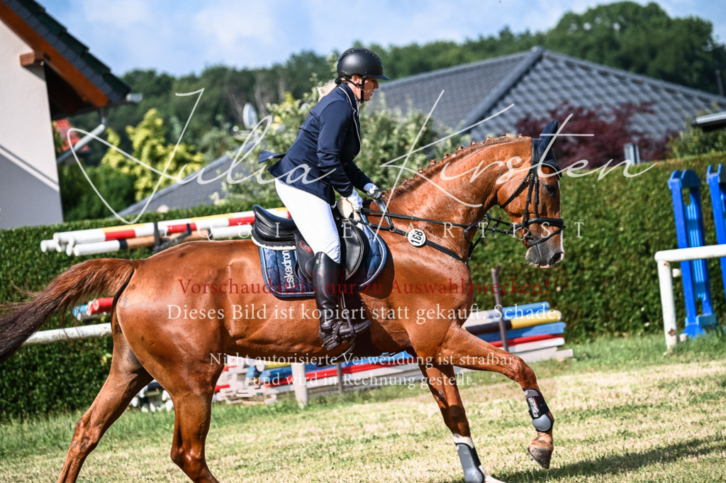 DSC_7764 | Pferde- und Turnierfotografie in Westsachsen. Pferdeportraits, Auftragszeichnungen und intuitive Kunst.