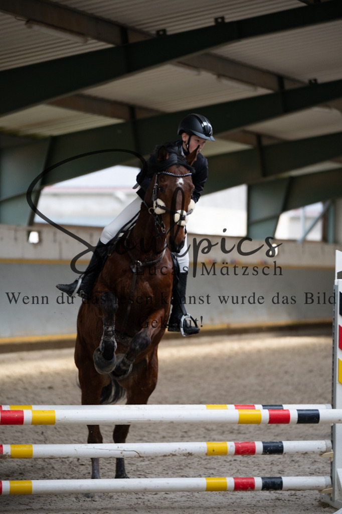 A7V04054 | Pferdefotograf