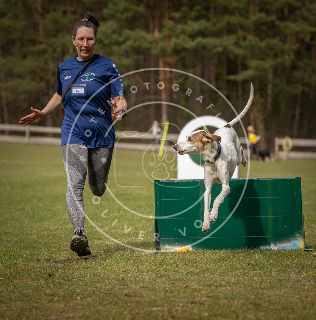 Pfotenfotografie_DV3A9040 | Hundefotografie, Tierfotograf, Pfotenfotografie, Fotoshooting Hund, Hunde Portrait, Hundesport, Hundeportraits, Heideshooting, Hunde, Sportfotograf, Hundefotograf, Turnierhundsport, THS,  - Realisiert mit Pictrs.com