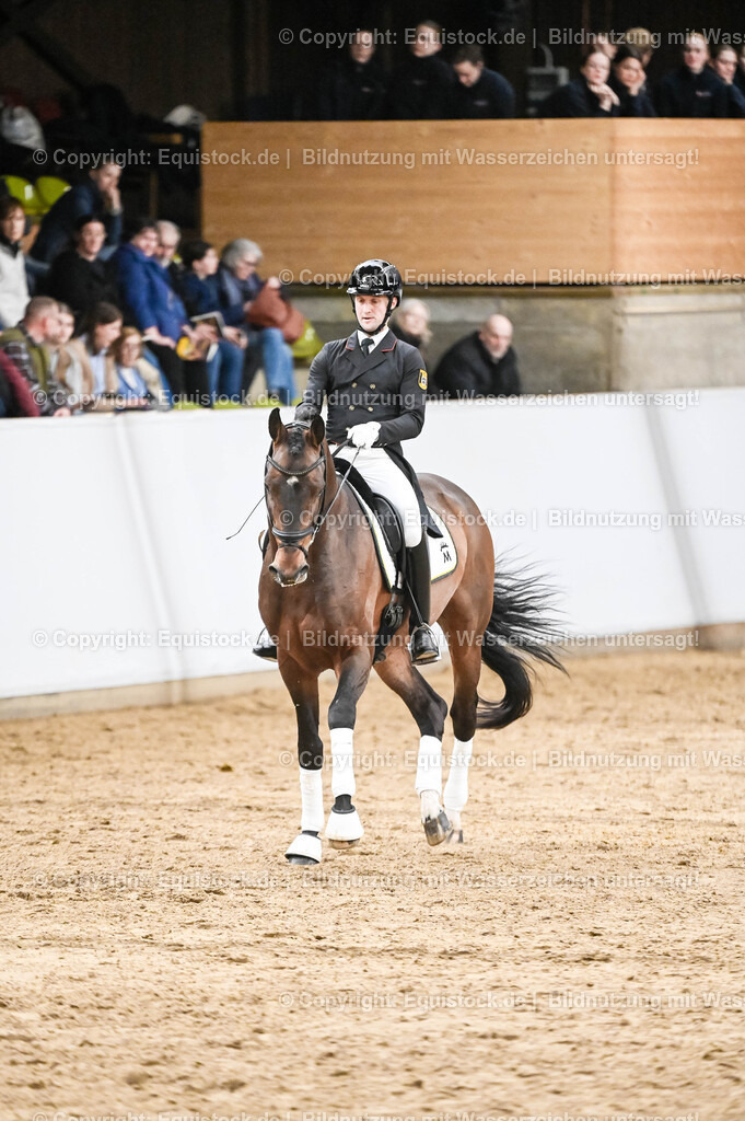 20260307_Hengstvorstellung-Marbach_0341 | equistock