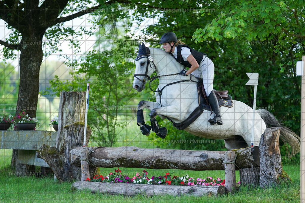 20240518-FAH04158 | Turnierbilder von Niederseon, Turnierfotografen Bayern, Fotoagentur Herrmann, Geländebilder, Reitsportfotografie