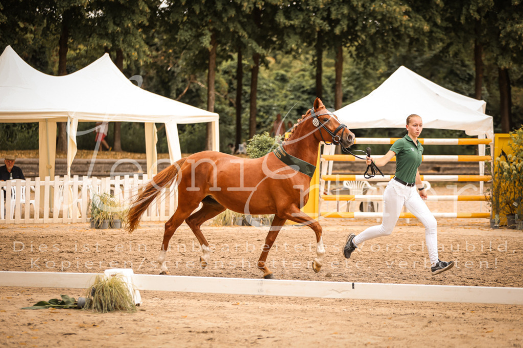 07.So00130 | Leoni Ertmer Photography - Realisiert mit Pictrs.com