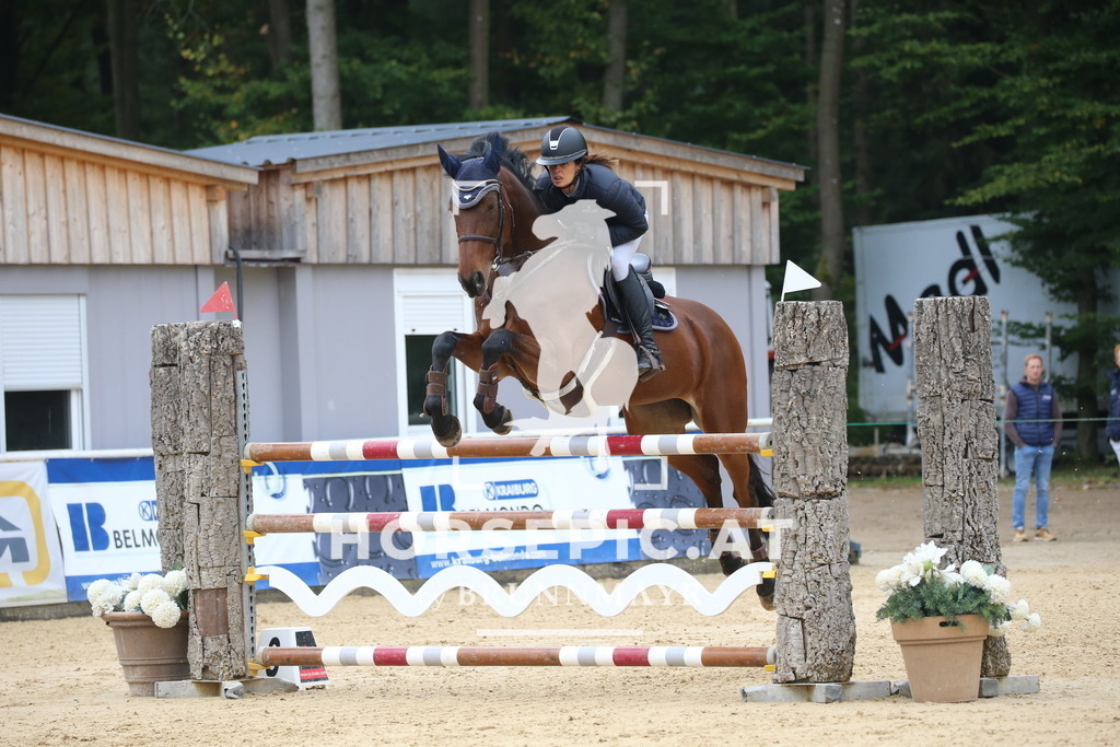 DL2Q0989 | Willkommen bei Brunnmayr - Design & Fotografie – Ihrem Spezialisten für Reitturniere und Pferdeveranstaltungen in Oberösterreich, Salzburg und Bayern! Seit über 17 Jahren sind wir leidenschaftlich dabei.