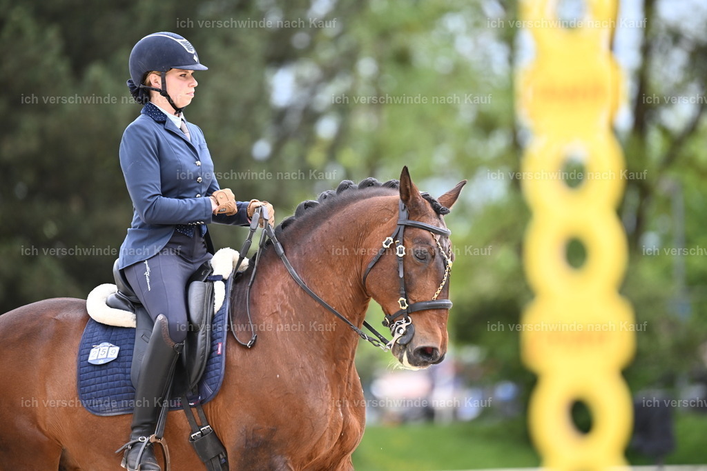 PI26_ST_Sara_Landvogt226_4054.JPG | working equitationturnier fotograf videograf stoibphotography marixx film working equitation deutschland reitsport turnierfotografie eventfotografie equestrian events