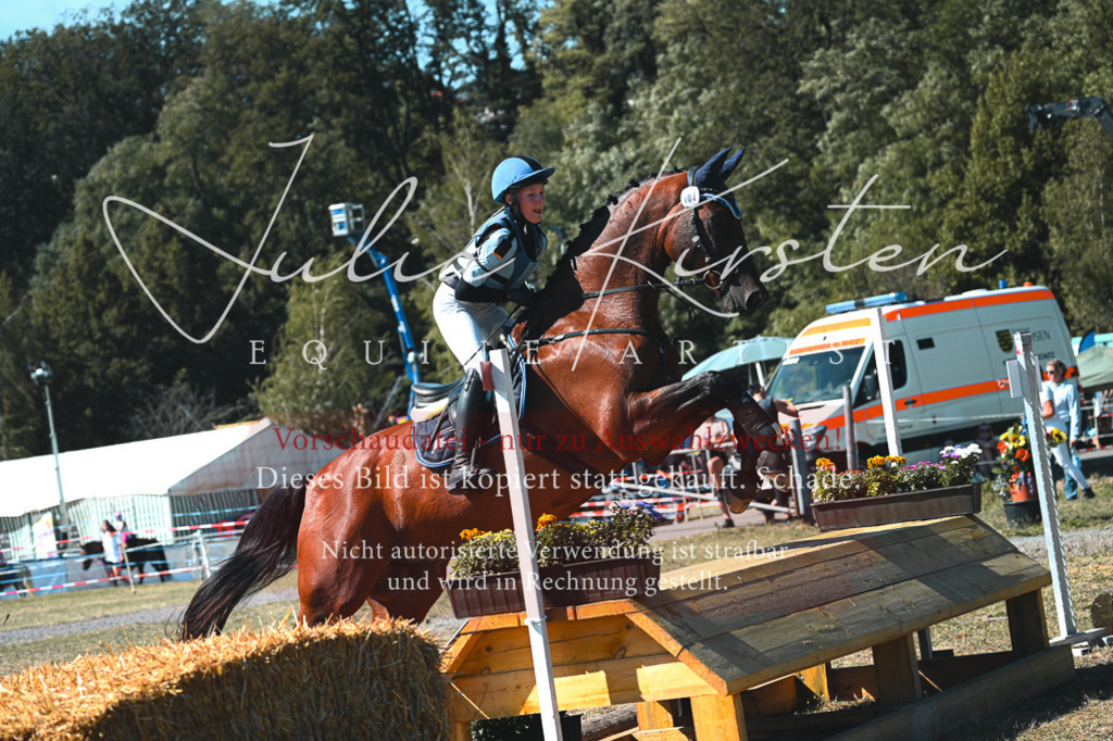 DSC_8054 | Pferde- und Turnierfotografie in Westsachsen. Pferdeportraits, Auftragszeichnungen und intuitive Kunst.