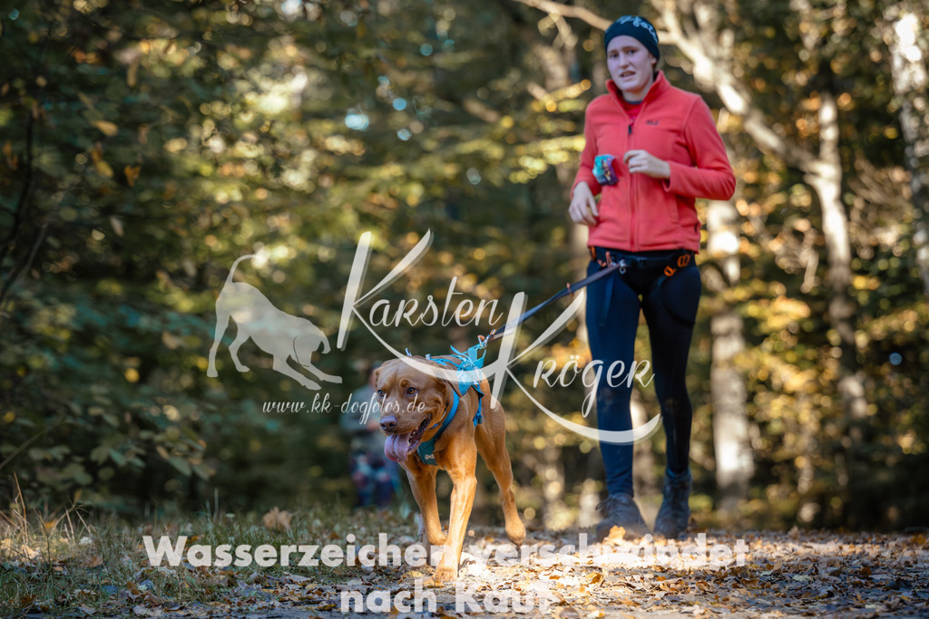 1021_ZZ99712 | kk-dogfotos