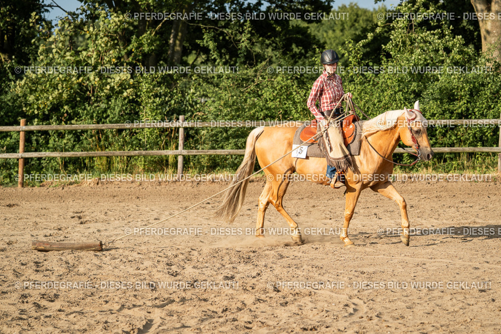 DSC06129 | Pferdegrafie