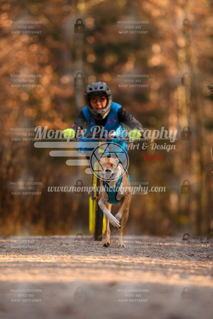 MompixPhotography_DM_AKDM_SO_2025_Scooter-147 | PayLife