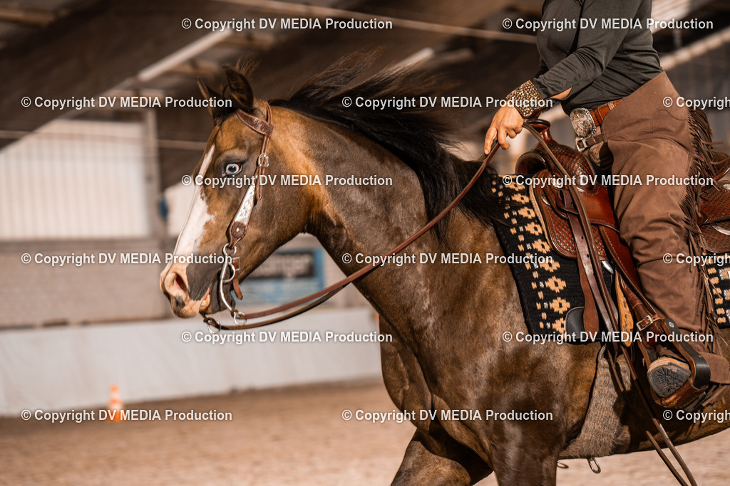 ZH100186 | dv-media-shop - Realisiert mit Pictrs.com