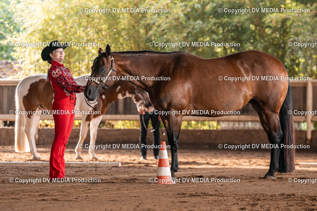 Erbach Tag 3-148 | dv-media-shop - Realisiert mit Pictrs.com