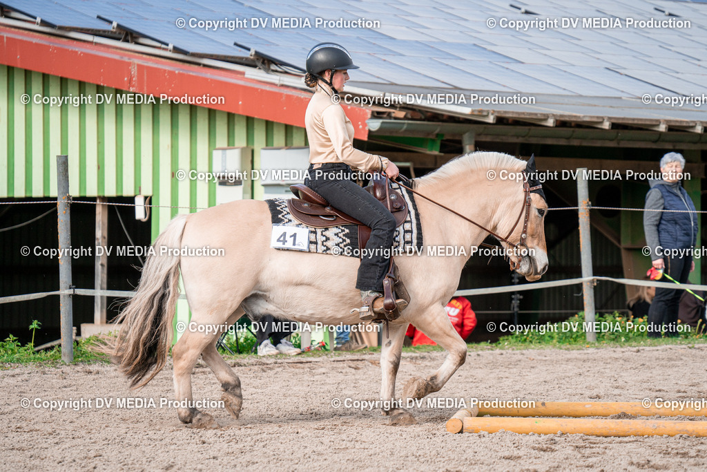 BAL02840 | dv-media-shop - Realisiert mit Pictrs.com