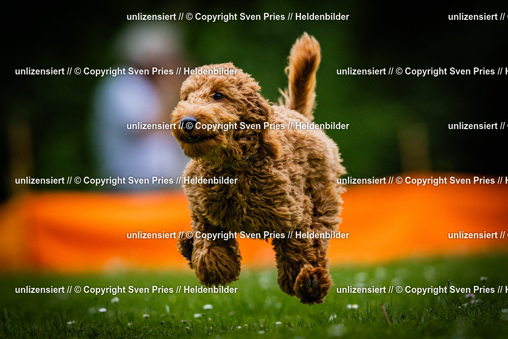 Sven Pries | 2025-05-29 - Pudelrennen KA-Durlach - Realisiert mit Pictrs.com