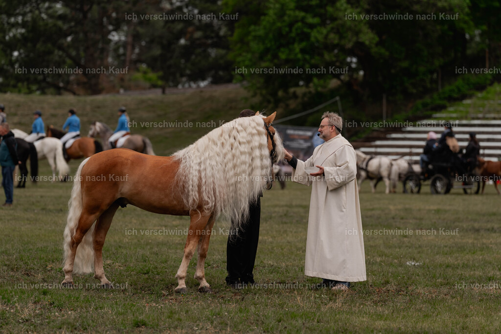 Showprogramm-10 | working equitationturnier fotograf videograf stoibphotography marixx film working equitation deutschland reitsport turnierfotografie eventfotografie equestrian events