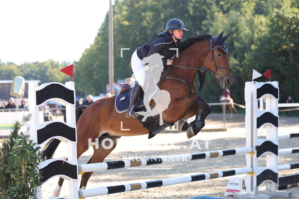 0P6A9623 | Willkommen bei Brunnmayr - Design & Fotografie – Ihrem Spezialisten für Reitturniere und Pferdeveranstaltungen in Oberösterreich, Salzburg und Bayern! Seit über 17 Jahren sind wir leidenschaftlich dabei.