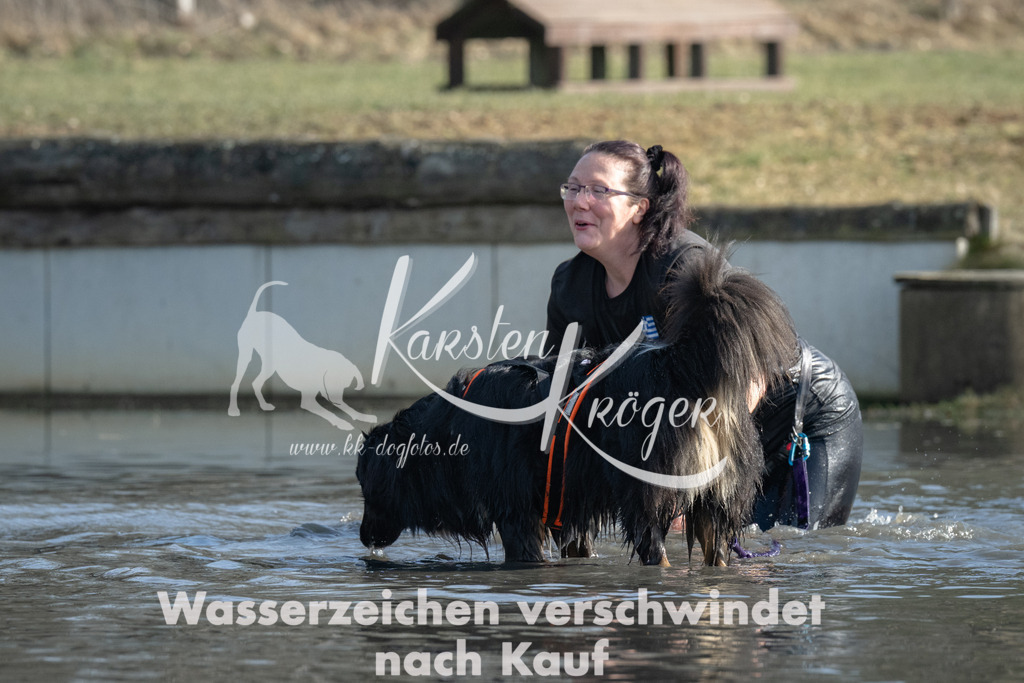 1335_ZZ97384 | kk-dogfotos