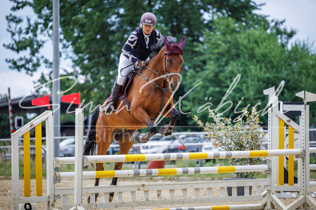 20260705-_3LI4924 | Tierfotografie Pferde, Hunde, Katzen, Haustiere.
Turnierfotografie Reitturniere, Reiten, Springreiten, Dressur in Hanau, dem Main-Kinzig-Kreis und dem Rhein-Main- Gebiet um Frankfurt