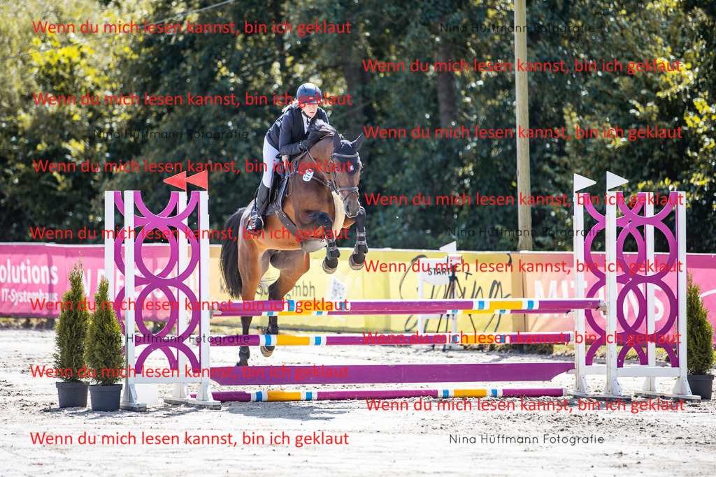 BK1A5077 | Turnierbilder Turnierfotos Nina Hüffmann Turnierfotografie Pferdefotografie Tierzeichnung Haustierzeichnung Pferdezeichnung Hundezeichnung Videograf  - Realisiert mit Pictrs.com