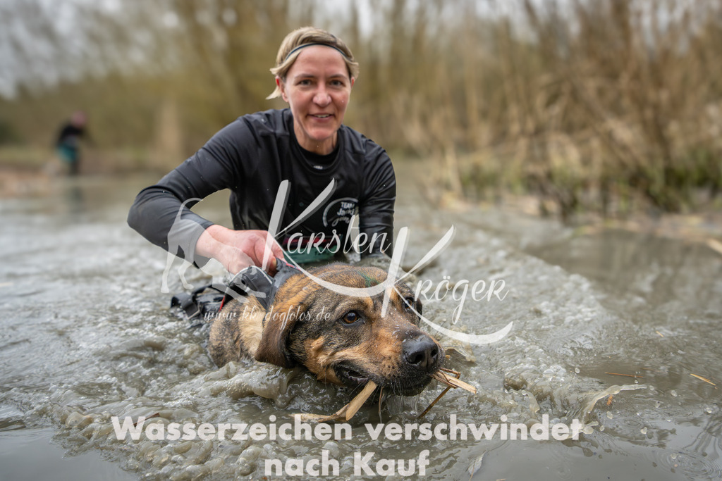 1239_ZZ99588 | kk-dogfotos