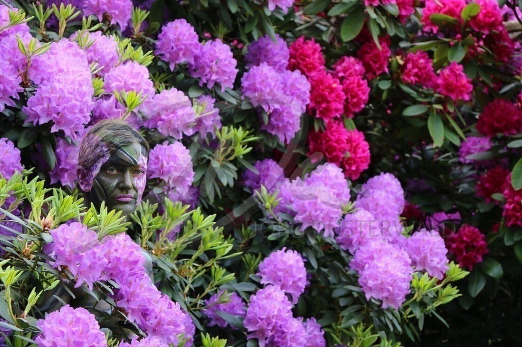 NatureArt-FLOWERPOWER_5520 | Eine Blüte mehr | #003 | Modell: Madeline | Foto: Anke Pallokat - Realisiert mit Pictrs.com