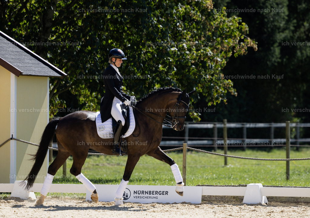 FHC2026_P12_Siegerehrung_19352 | working equitationturnier fotograf videograf stoibphotography marixx film working equitation deutschland reitsport turnierfotografie eventfotografie equestrian events