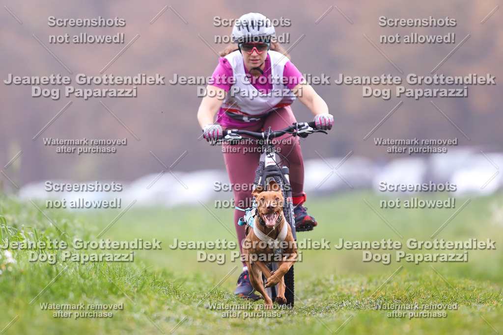 Dog Paparazzi - Visbeck 25 -187 | Dog Paparazzi Jeanette Grottendiek Fotografie & Videografie - Realisiert mit Pictrs.com