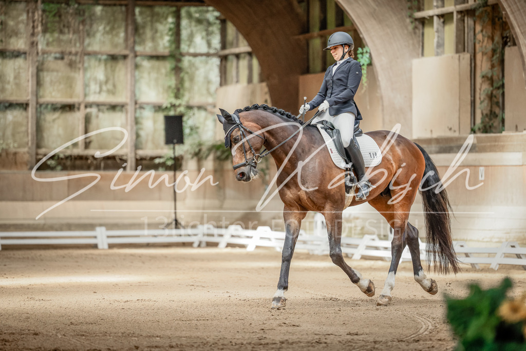 20250621-_3LI5876 | Tierfotografie Pferde, Hunde, Katzen, Haustiere.
Turnierfotografie Reitturniere, Reiten, Springreiten, Dressur in Hanau, dem Main-Kinzig-Kreis und dem Rhein-Main- Gebiet um Frankfurt