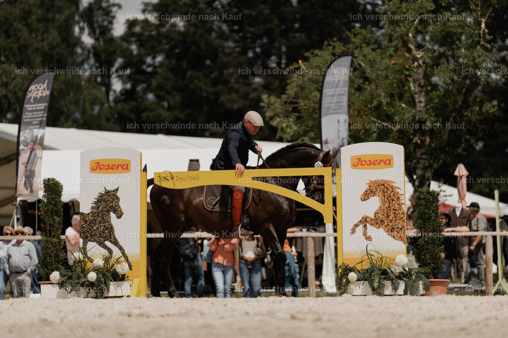 WE_ST_Stoib_320_PI2025_1111 | Pferd International München 2025
