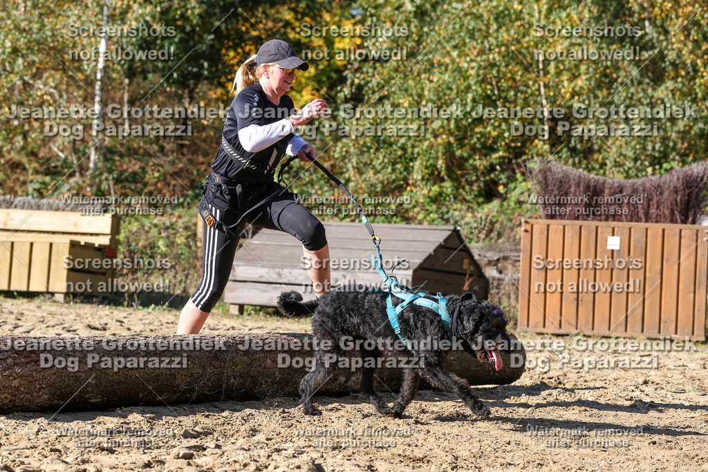 Dog Paparazzi - Strongdog 10-25-4664 | Dog Paparazzi Jeanette Grottendiek Fotografie & Videografie - Realisiert mit Pictrs.com