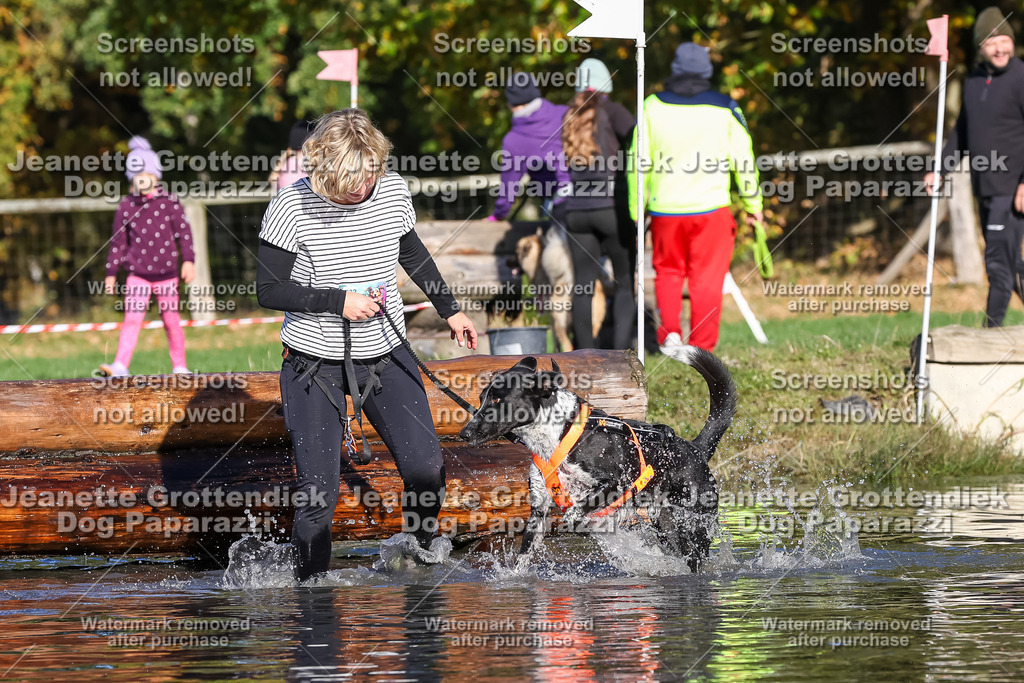 Dog Paparazzi - Strongdog 10-25-8767 | Dog Paparazzi Jeanette Grottendiek Fotografie & Videografie - Realisiert mit Pictrs.com